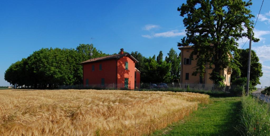 B&B L'Alberone Budrio  Kültér fotó