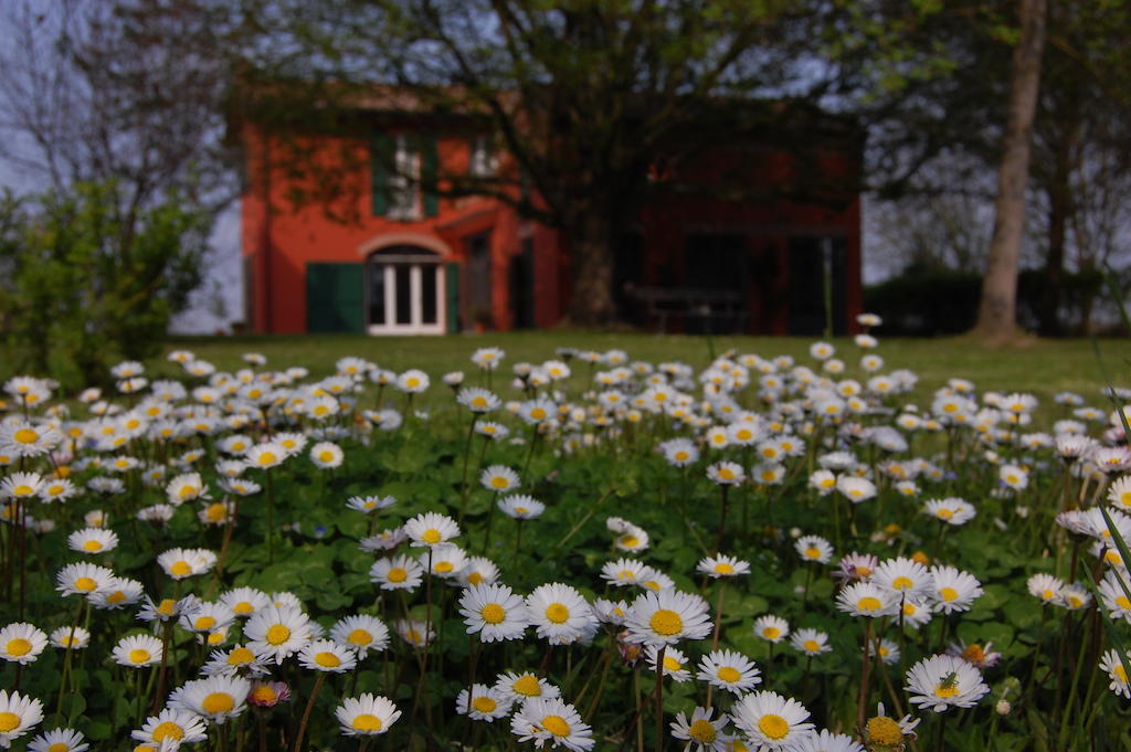 B&B L'Alberone Budrio  Kültér fotó